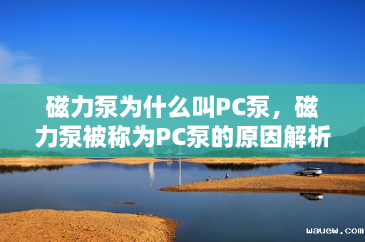 磁力泵为什么叫PC泵，磁力泵被称为PC泵的原因解析
