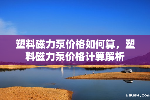 塑料磁力泵价格如何算，塑料磁力泵价格计算解析