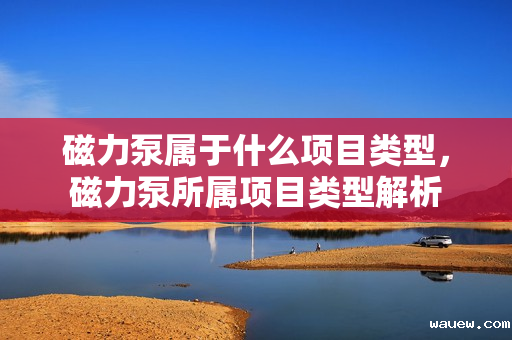 磁力泵属于什么项目类型，磁力泵所属项目类型解析