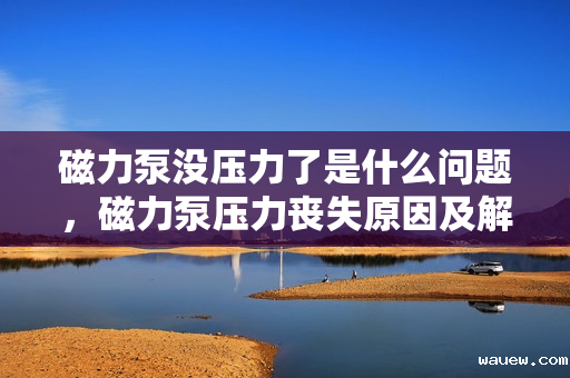 磁力泵没压力了是什么问题，磁力泵压力丧失原因及解决方案