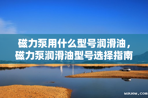 磁力泵用什么型号润滑油，磁力泵润滑油型号选择指南