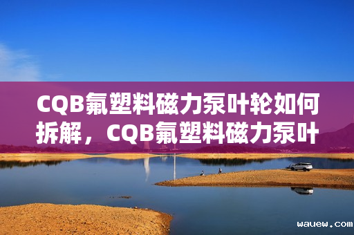 CQB氟塑料磁力泵叶轮如何拆解，CQB氟塑料磁力泵叶轮拆解指南