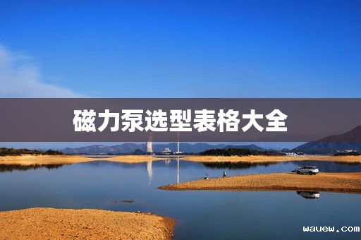 磁力泵选型表格大全