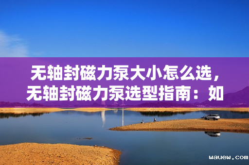 无轴封磁力泵大小怎么选，无轴封磁力泵选型指南：如何选择合适的泵大小