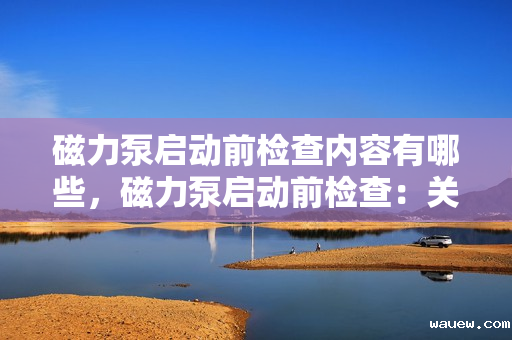 磁力泵启动前检查内容有哪些，磁力泵启动前检查：关键步骤与要点解析