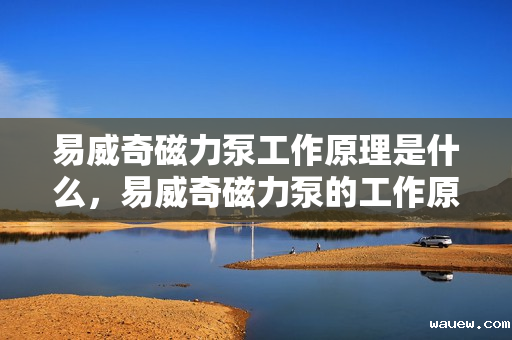 易威奇磁力泵工作原理是什么，易威奇磁力泵的工作原理简述