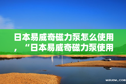 日本易威奇磁力泵怎么使用，“日本易威奇磁力泵使用指南：步骤、技巧与注意事项”