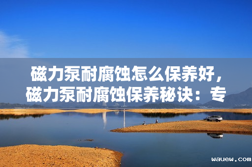 磁力泵耐腐蚀怎么保养好，磁力泵耐腐蚀保养秘诀：专业维护指南