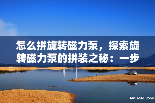 怎么拼旋转磁力泵，探索旋转磁力泵的拼装之秘：一步步打造高效流体传输利器