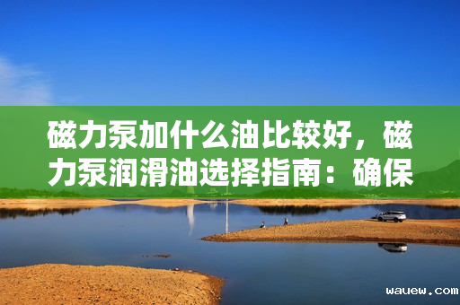 磁力泵加什么油比较好，磁力泵润滑油选择指南：确保高效运转与长久耐用的关键