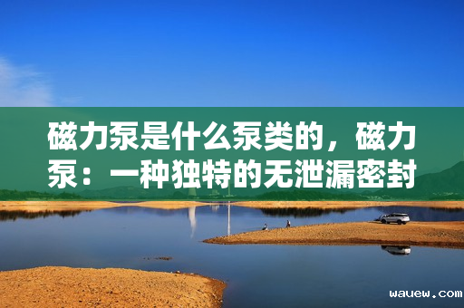 磁力泵是什么泵类的，磁力泵：一种独特的无泄漏密封泵类