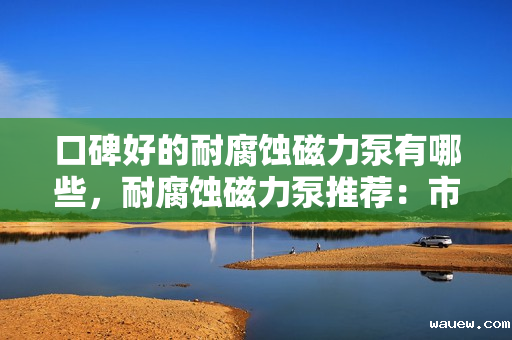 口碑好的耐腐蚀磁力泵有哪些，耐腐蚀磁力泵推荐：市场口碑上佳的优质选择