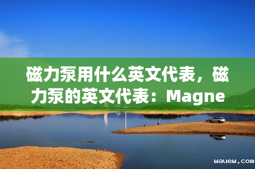 磁力泵用什么英文代表，磁力泵的英文代表：Magnetic Drive Pump