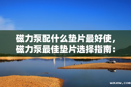 磁力泵配什么垫片最好使，磁力泵最佳垫片选择指南：确保高效密封与持久性能