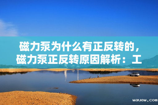磁力泵为什么有正反转的，磁力泵正反转原因解析：工作机理与操作要求探讨