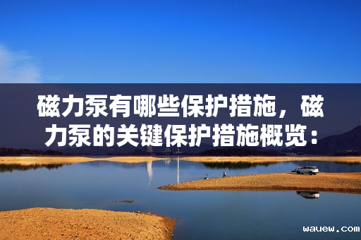 磁力泵有哪些保护措施，磁力泵的关键保护措施概览：确保安全稳定运行的必备策略