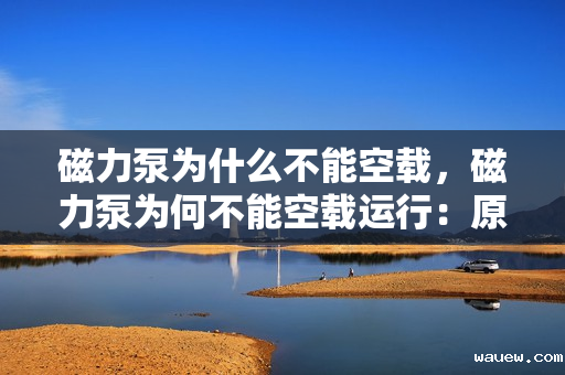 磁力泵为什么不能空载，磁力泵为何不能空载运行：原因分析与解释
