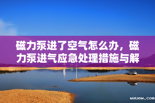 磁力泵进了空气怎么办，磁力泵进气应急处理措施与解决方案
