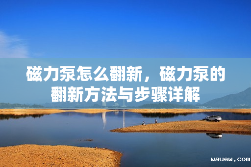 磁力泵怎么翻新，磁力泵的翻新方法与步骤详解