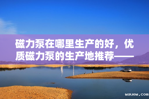 磁力泵在哪里生产的好，优质磁力泵的生产地推荐——选择这些地方，品质有保障