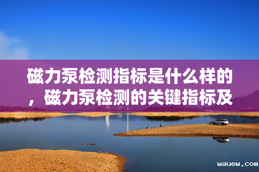 磁力泵检测指标是什么样的，磁力泵检测的关键指标及标准概述