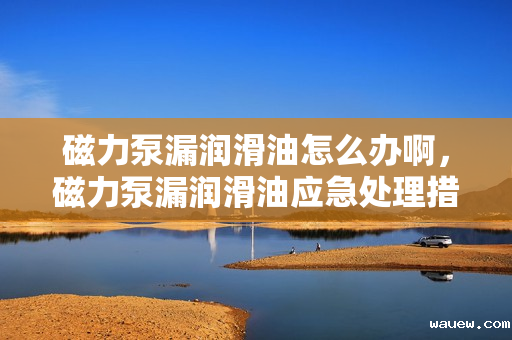 磁力泵漏润滑油怎么办啊，磁力泵漏润滑油应急处理措施与解决方案
