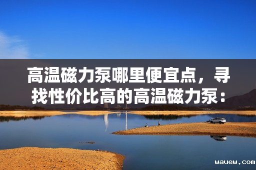 高温磁力泵哪里便宜点，寻找性价比高的高温磁力泵：哪里购买更实惠？