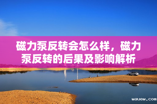 磁力泵反转会怎么样，磁力泵反转的后果及影响解析