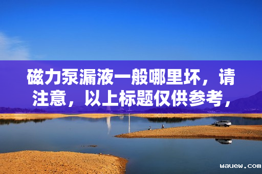 磁力泵漏液一般哪里坏，请注意，以上标题仅供参考，实际使用时应确保它符合您所撰写文章或报告的内容和风格。同时，考虑到磁力泵漏液可能涉及多个原因和部件，建议在具体分析和解决问题时，综合考虑各种可能因素，并咨询相关专业人士的意见。