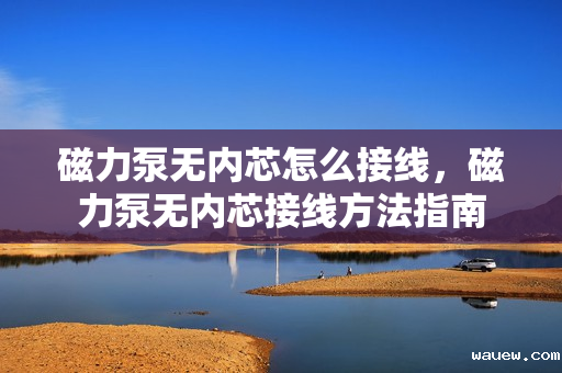 磁力泵无内芯怎么接线，磁力泵无内芯接线方法指南