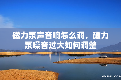 磁力泵声音响怎么调，磁力泵噪音过大如何调整