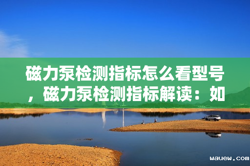 磁力泵检测指标怎么看型号，磁力泵检测指标解读：如何根据型号判断性能