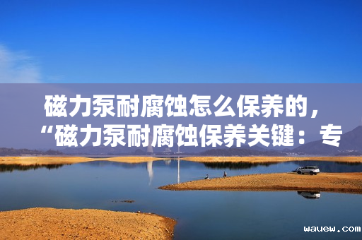 磁力泵耐腐蚀怎么保养的，“磁力泵耐腐蚀保养关键：专业维护与日常细心呵护并重”