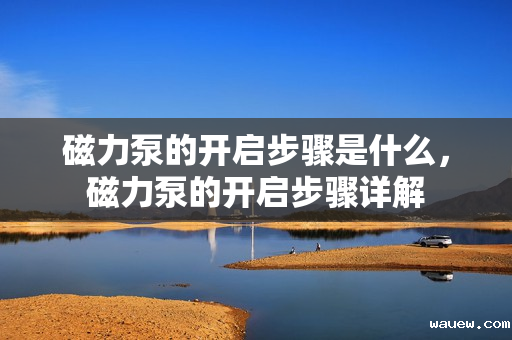 磁力泵的开启步骤是什么，磁力泵的开启步骤详解