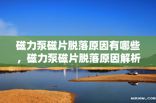 磁力泵磁片脱落原因有哪些，磁力泵磁片脱落原因解析