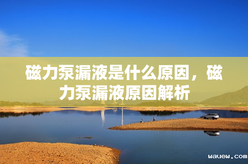 磁力泵漏液是什么原因，磁力泵漏液原因解析