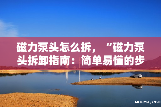 磁力泵头怎么拆，“磁力泵头拆卸指南：简单易懂的步骤教程”