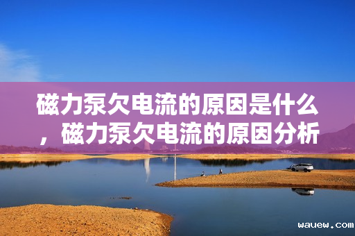 磁力泵欠电流的原因是什么，磁力泵欠电流的原因分析