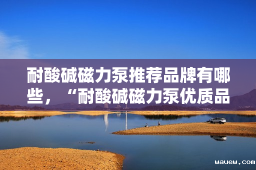 耐酸碱磁力泵推荐品牌有哪些，“耐酸碱磁力泵优质品牌推荐榜”