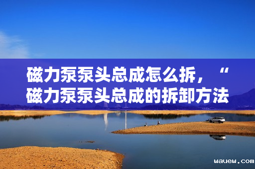磁力泵泵头总成怎么拆，“磁力泵泵头总成的拆卸方法与步骤”