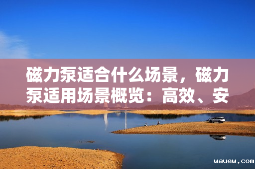 磁力泵适合什么场景，磁力泵适用场景概览：高效、安全、无泄漏的理想选择