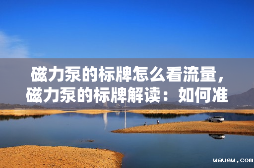 磁力泵的标牌怎么看流量，磁力泵的标牌解读：如何准确查看流量信息