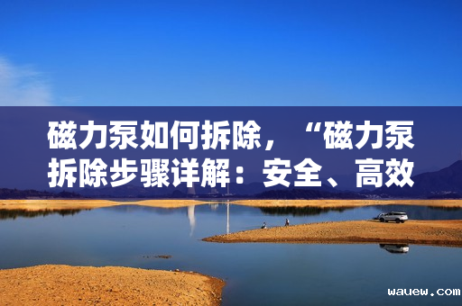 磁力泵如何拆除，“磁力泵拆除步骤详解：安全、高效、专业的操作指南”