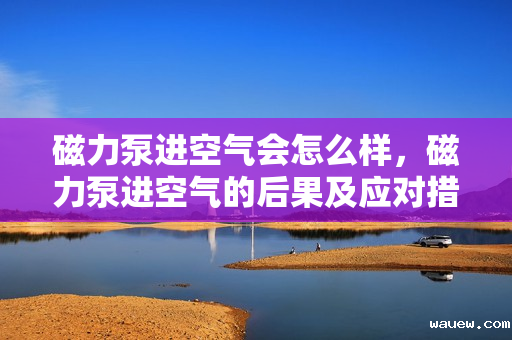 磁力泵进空气会怎么样，磁力泵进空气的后果及应对措施