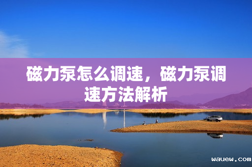 磁力泵怎么调速，磁力泵调速方法解析