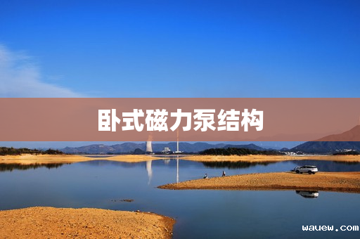 卧式磁力泵结构