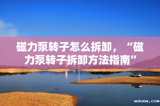 磁力泵转子怎么拆卸，“磁力泵转子拆卸方法指南”