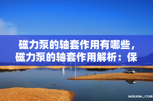 磁力泵的轴套作用有哪些，磁力泵的轴套作用解析：保障高效运转与长久耐用