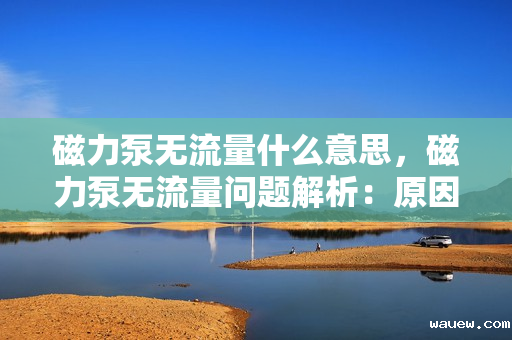 磁力泵无流量什么意思，磁力泵无流量问题解析：原因及解决方案探讨