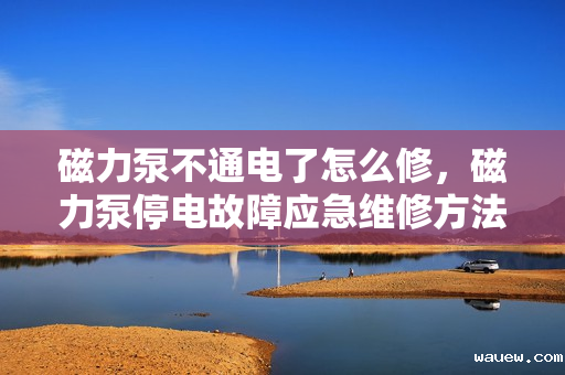 磁力泵不通电了怎么修，磁力泵停电故障应急维修方法